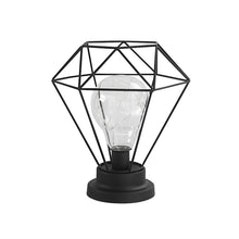 Load image into Gallery viewer, Metal Terrarium Lamp