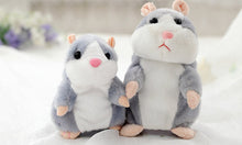 Load image into Gallery viewer, Talking Hamster Mouse